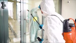 شركة مكافحة حشرات في ابوظبي